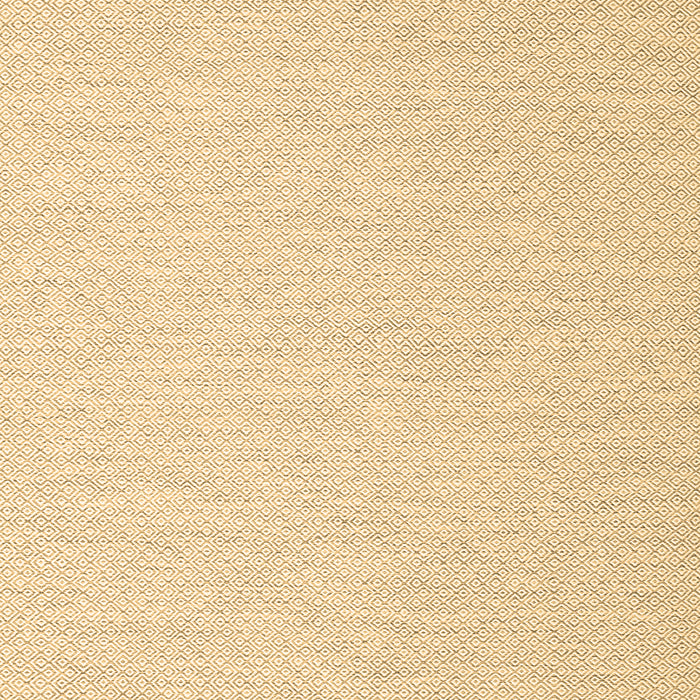 Abstract Brown Contemporary Rug, con2130brn