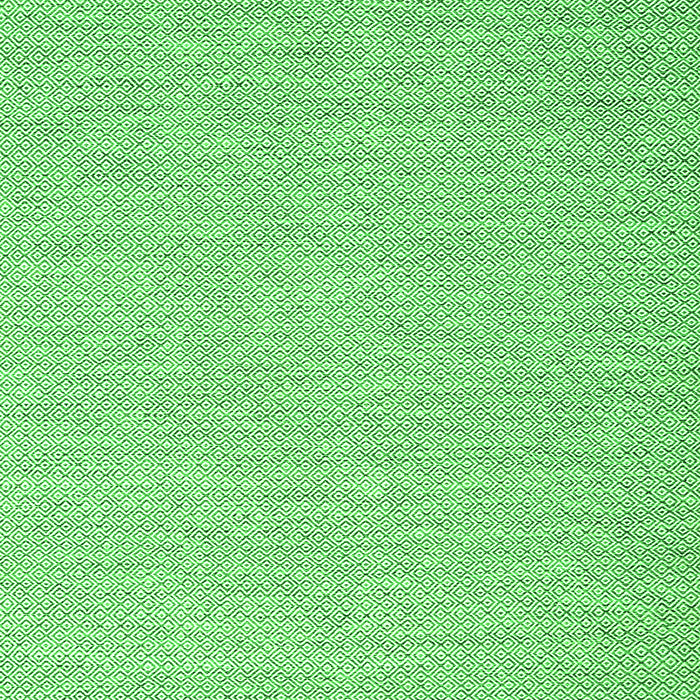 Abstract Green Contemporary Rug, con2135grn