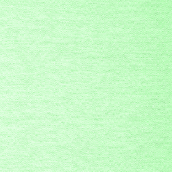 Machine Washable Solid Emerald Green Modern Area Rugs, wshcon2137emgrn