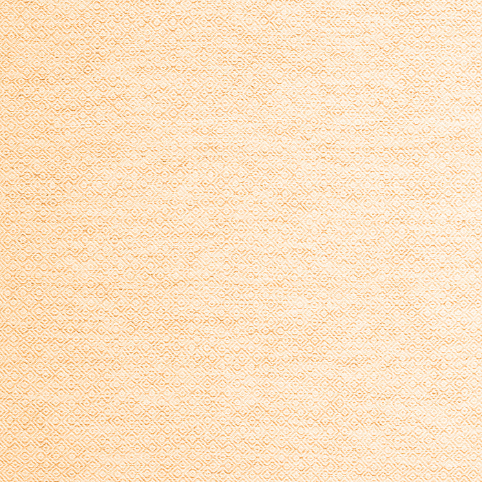 Serging Thickness of Machine Washable Solid Orange Modern Area Rugs, wshcon2137org