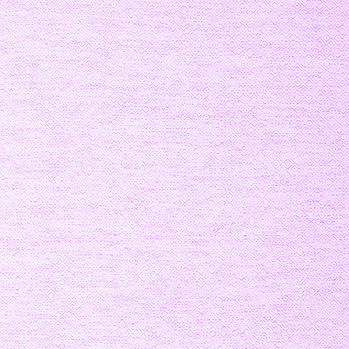 Solid Purple Modern Rug, con2137pur