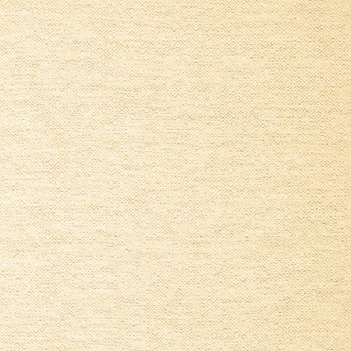 Machine Washable Solid Brown Modern Rug, wshcon2137brn