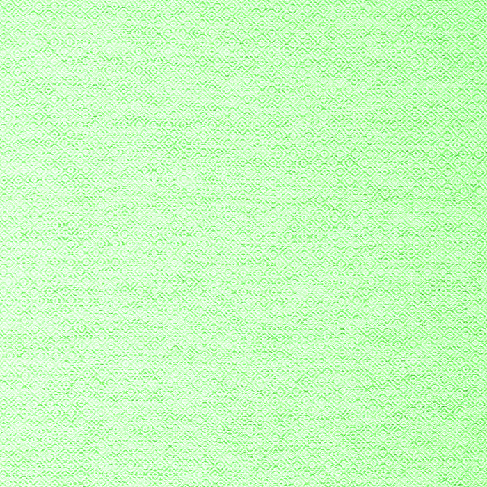 Serging Thickness of Machine Washable Solid Green Modern Area Rugs, wshcon2137grn