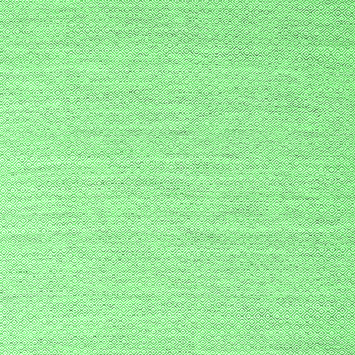 Abstract Green Contemporary Rug, con2139grn