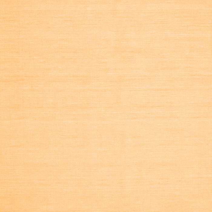 Abstract Orange Contemporary Rug, con213org