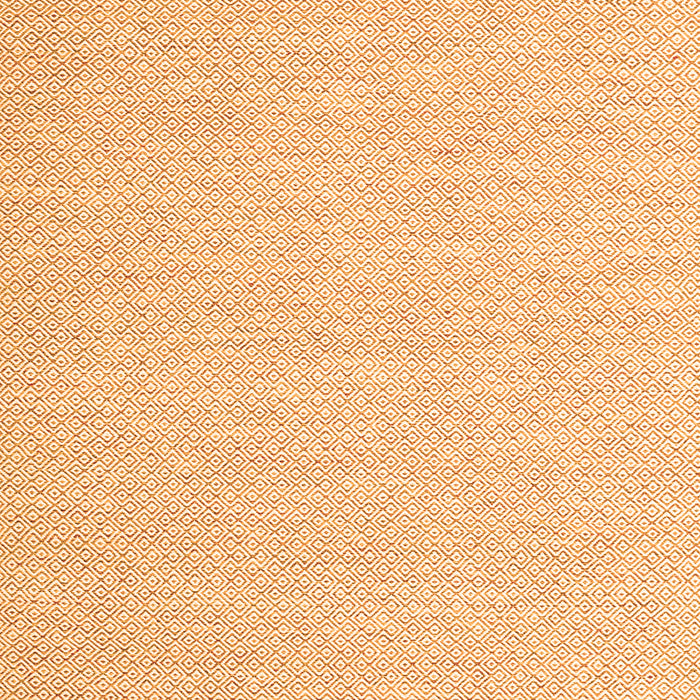 Solid Orange Modern Rug, con2141org