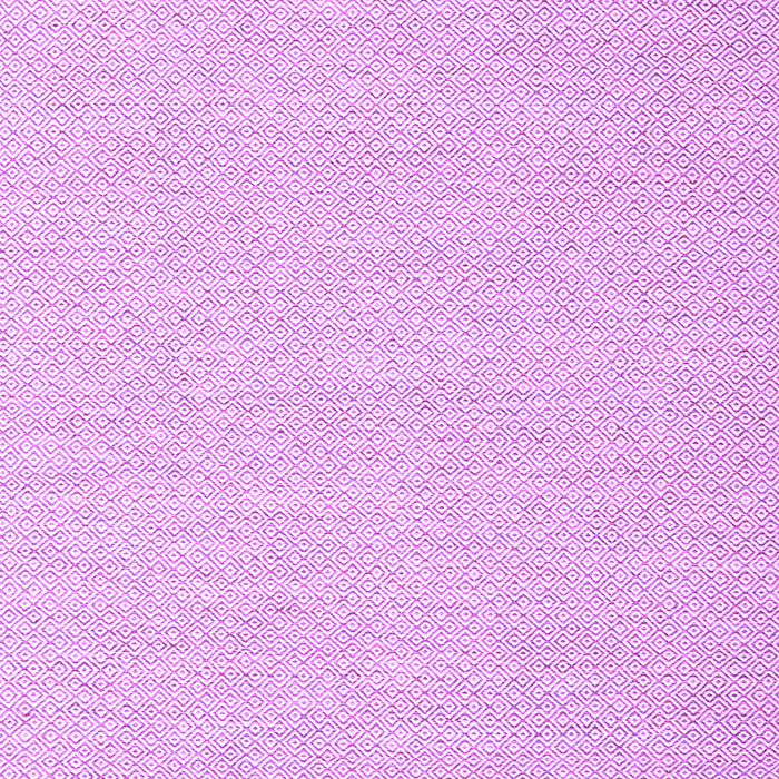 Solid Purple Modern Rug, con2141pur