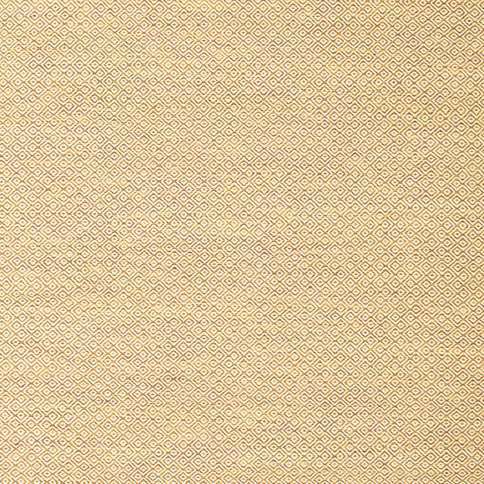 Machine Washable Solid Brown Modern Rug, wshcon2141brn