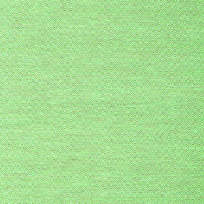 Serging Thickness of Machine Washable Solid Green Modern Area Rugs, wshcon2141grn