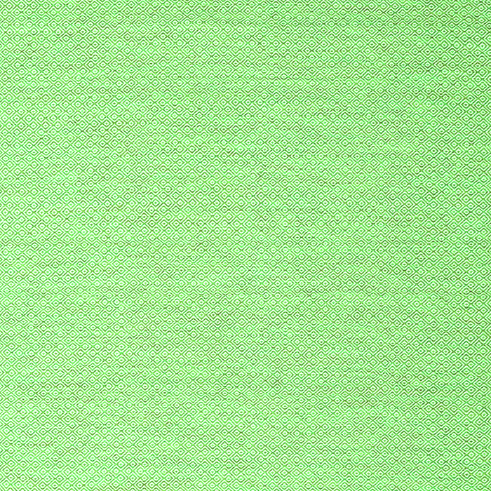 Solid Green Modern Rug, con2144grn