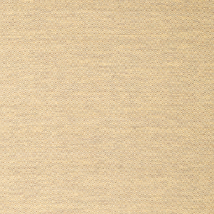 Solid Brown Modern Rug, con2144brn