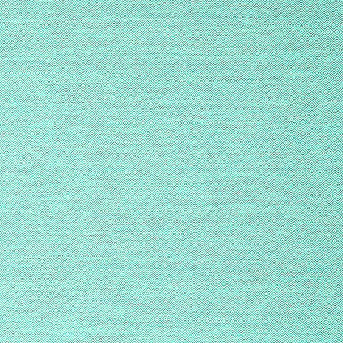 Solid Turquoise Modern Rug, con2144turq