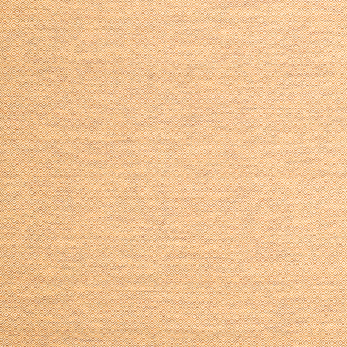 Solid Orange Modern Rug, con2144org