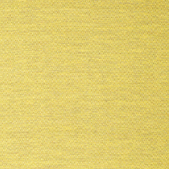 Solid Yellow Modern Rug, con2144yw