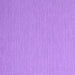 Square Abstract Purple Contemporary Rug, con2146pur