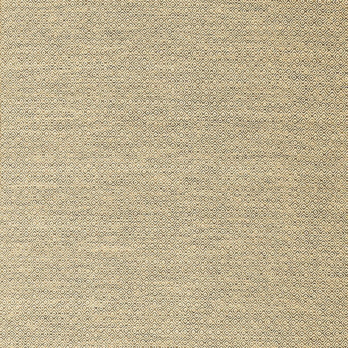 Machine Washable Abstract Brown Contemporary Rug, wshcon2147brn