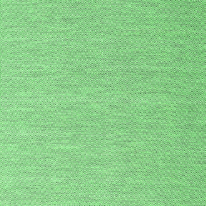 Abstract Green Contemporary Rug, con2147grn