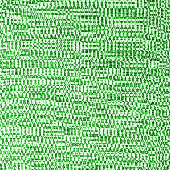 Serging Thickness of Abstract Green Contemporary Rug, con2147grn