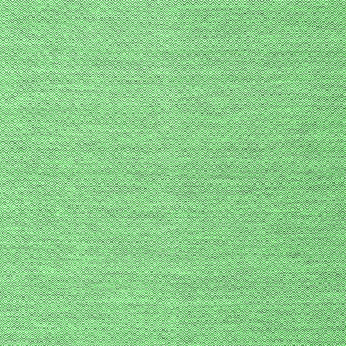 Abstract Green Contemporary Rug, con2148grn