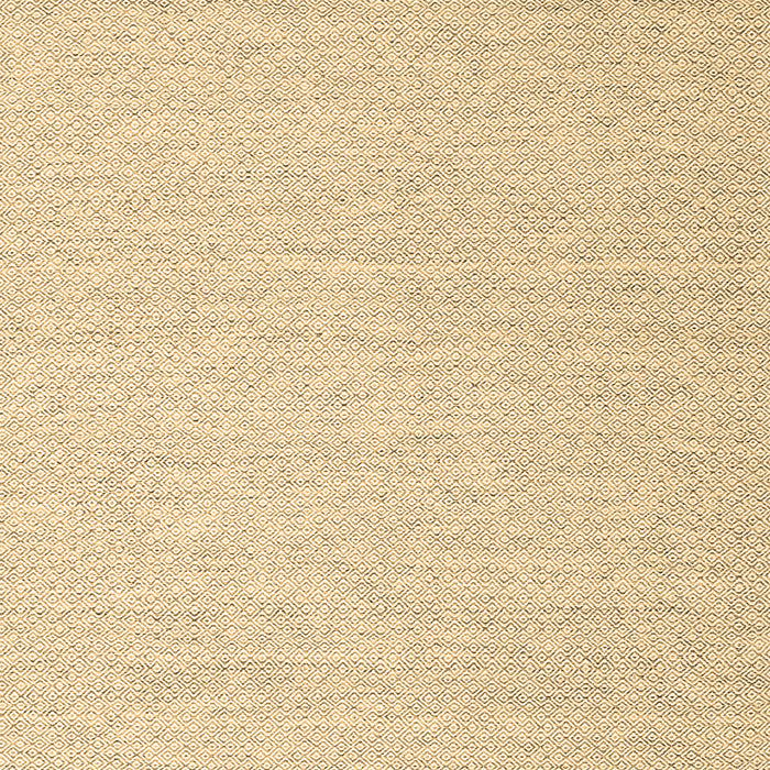 Abstract Brown Contemporary Rug, con2150brn