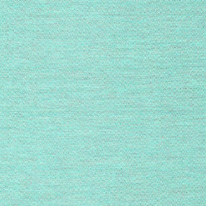 Solid Turquoise Modern Rug, con2151turq
