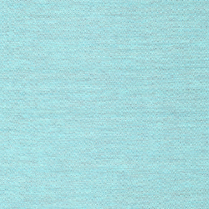 Solid Light Blue Modern Rug, con2151lblu