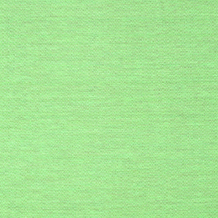 Serging Thickness of Solid Green Modern Rug, con2151grn
