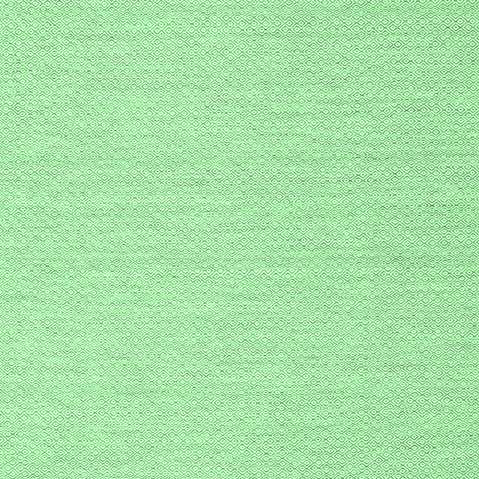 Solid Emerald Green Modern Rug, con2151emgrn