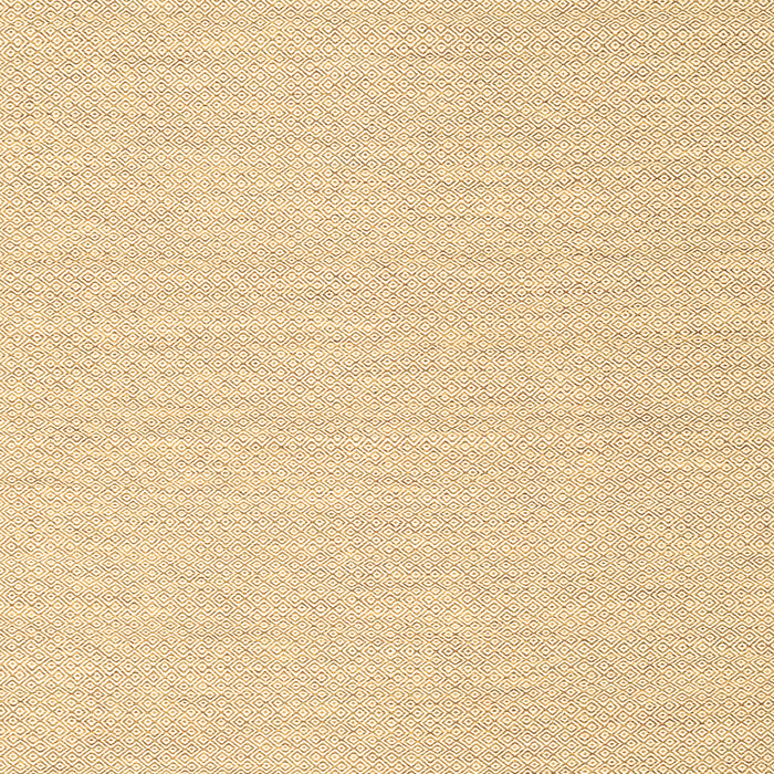Solid Brown Modern Rug, con2151brn