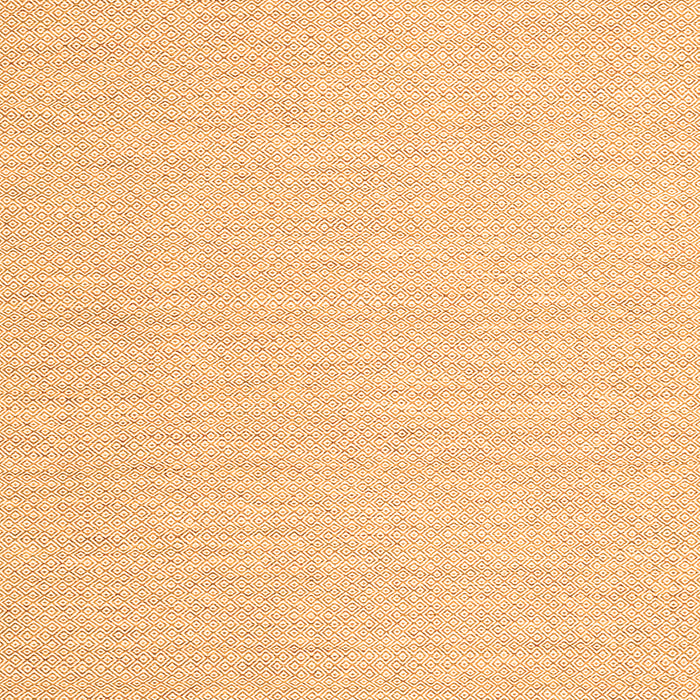 Solid Orange Modern Rug, con2151org