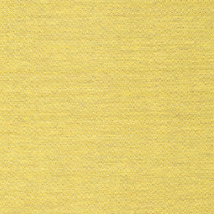 Solid Yellow Modern Rug, con2151yw
