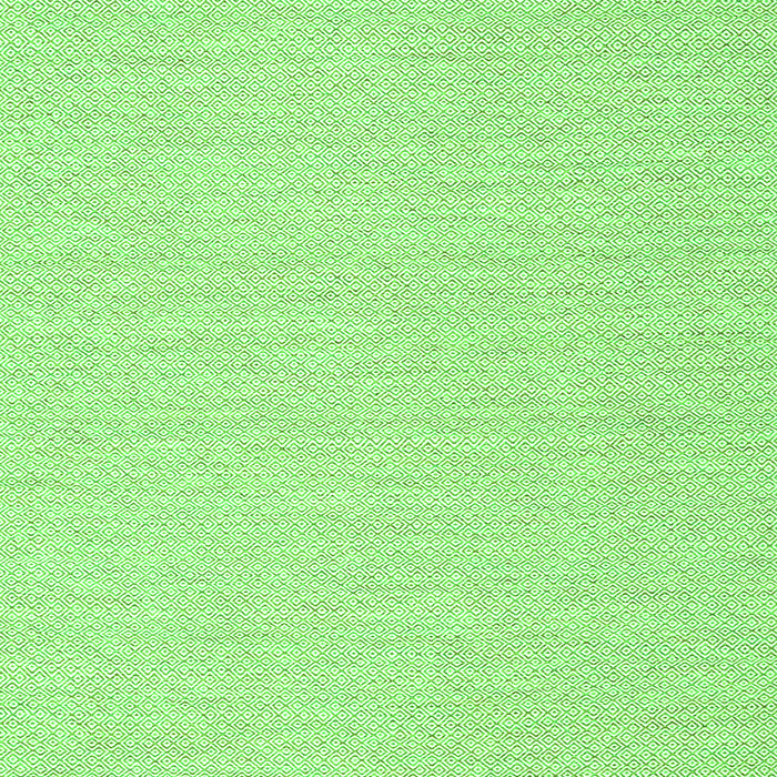 Serging Thickness of Machine Washable Solid Green Modern Area Rugs, wshcon2151grn