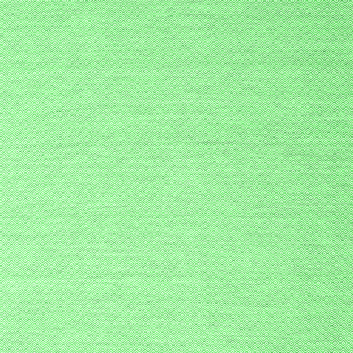 Abstract Green Contemporary Rug, con2152grn