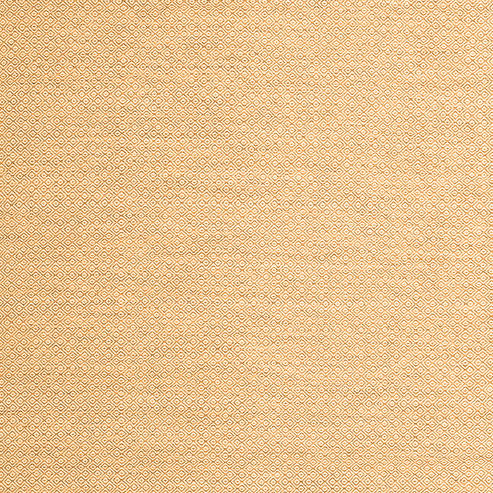 Abstract Orange Contemporary Rug, con2156org