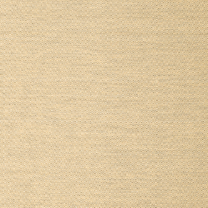 Abstract Brown Contemporary Rug, con2156brn