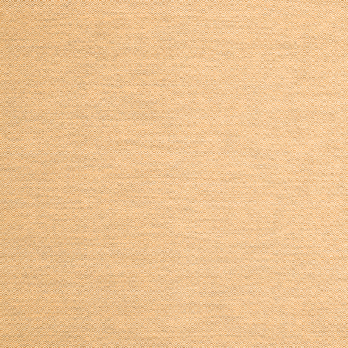 Serging Thickness of Abstract Orange Contemporary Rug, con2156org