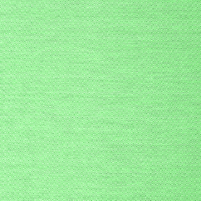 Abstract Green Contemporary Rug, con2156grn