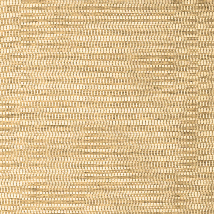 Solid Brown Modern Rug, con2158brn