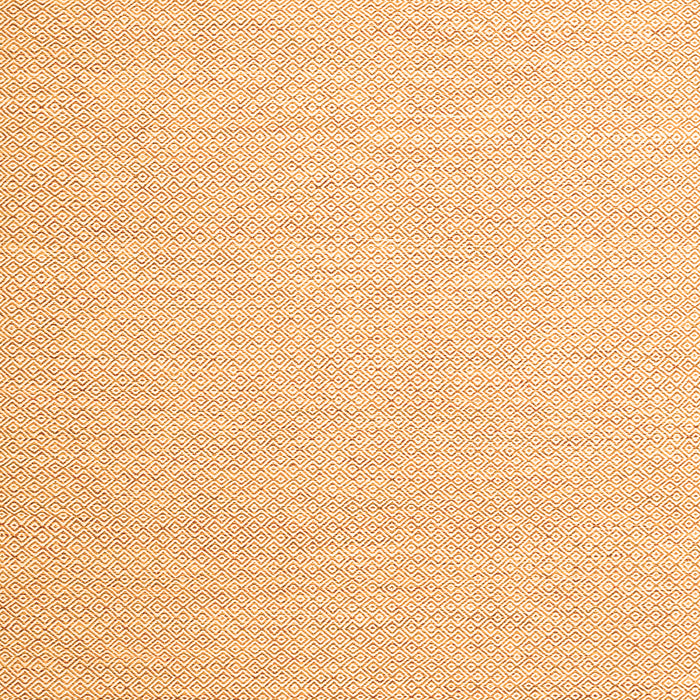 Solid Orange Modern Rug, con2160org