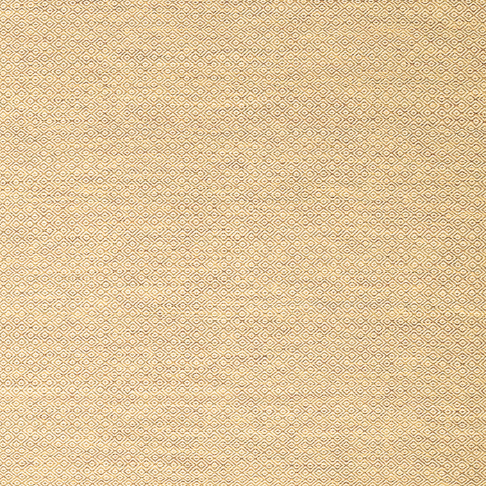Solid Brown Modern Rug, con2160brn
