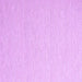 Square Solid Purple Modern Rug, con2160pur