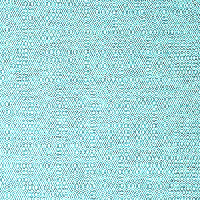 Solid Light Blue Modern Rug, con2160lblu