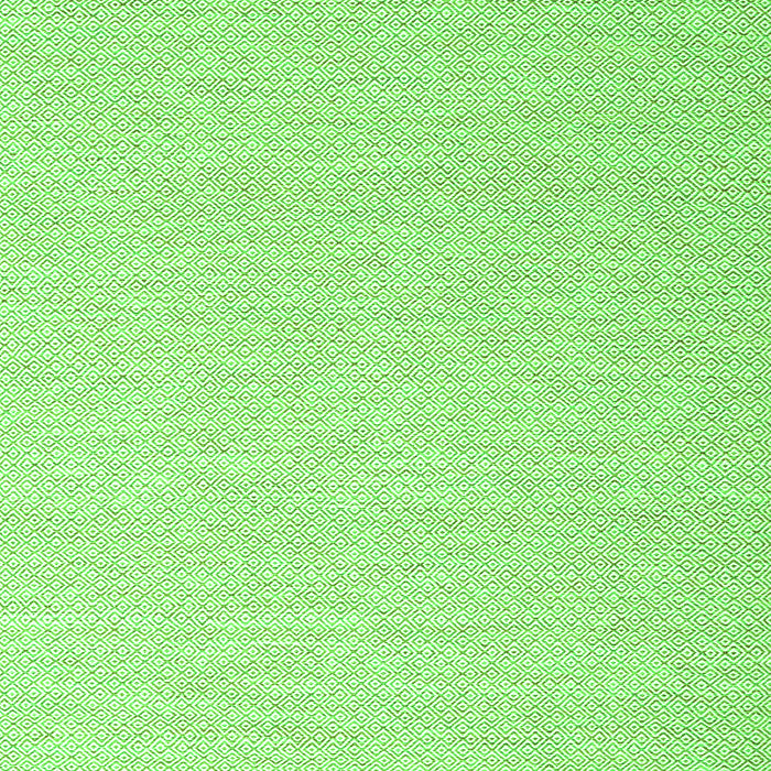 Serging Thickness of Machine Washable Solid Green Modern Area Rugs, wshcon2160grn