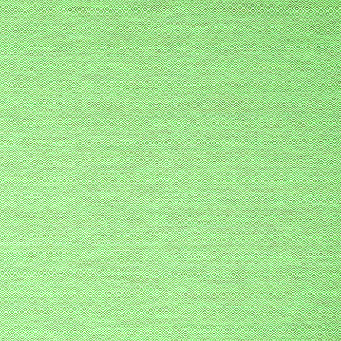 Serging Thickness of Solid Green Modern Rug, con2160grn