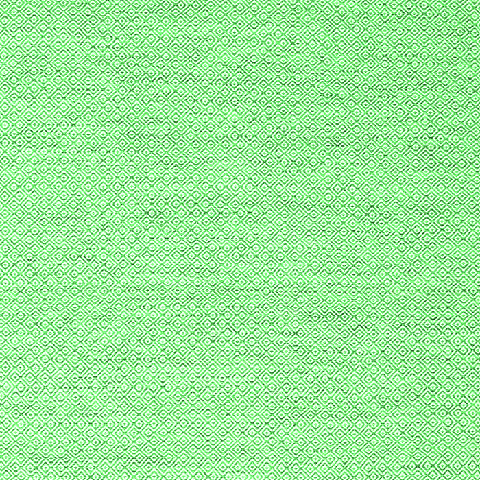 Abstract Green Contemporary Rug, con2163grn