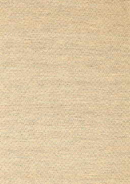 Abstract Brown Contemporary Rug, con2163brn