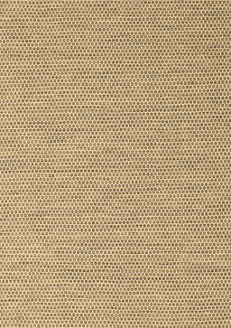 Abstract Brown Contemporary Rug, con2165brn