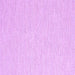 Square Solid Purple Modern Rug, con2167pur