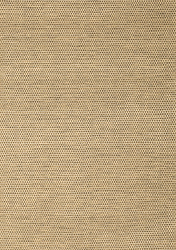 Abstract Brown Contemporary Rug, con2173brn