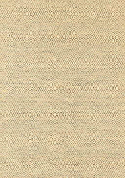Abstract Brown Contemporary Rug, con2177brn
